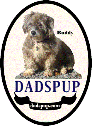 Welcome to Dadspup!