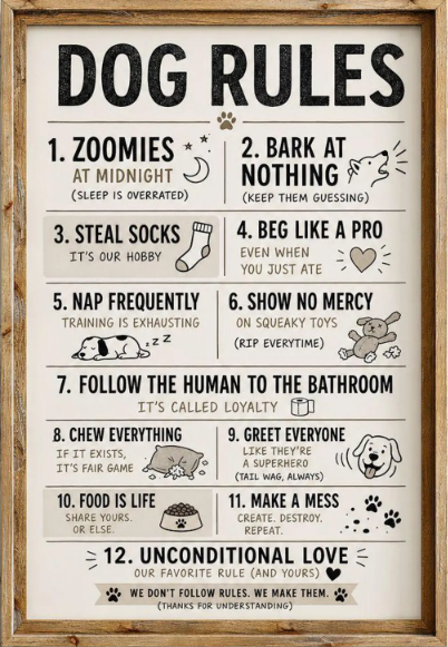 Rules.............