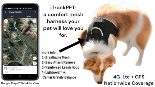 Wide Area Coverage GSM GPS Tracking for Dogs Waterproof Collar Tracker Size:XXL