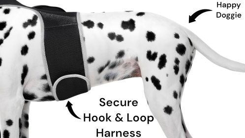 Rechargeable Reputable Finder Collar GPS Tracking Device for Dogs + Gyro Sensor Size:XXL
