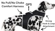 Water Resistant Small Pet GPS Collar Tracker Rechargeable Locator for Big Dogs Size:XXL