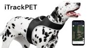 Resilient Collar Rechargeable GPS Dog Tracking Device for Playful Pet Labrador Size:XXL