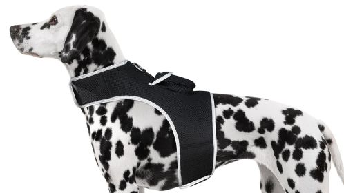 Rechargeable Collar Mount Tracker GPS for Dogs for Realtime Detail Surveillance Size:XXL