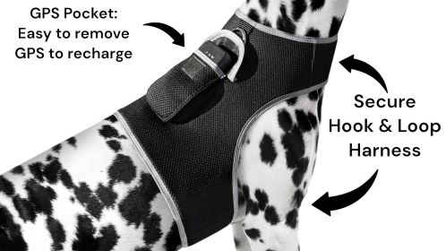 Rechargeable Pet Tracking Device for Dog Waterproof GPS Collar Tracker Size:XXL