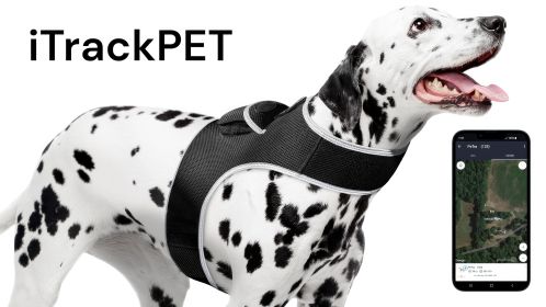 Waterproof Collar GSM GPRS GPS Trackers for Dogs w/ Realtime Phone App Size:XXL