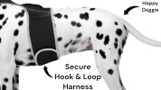 Reputable Water Resilient GPS Tag for Dogs Rechargeable Collar Mount GSM Tracker Size:XXL