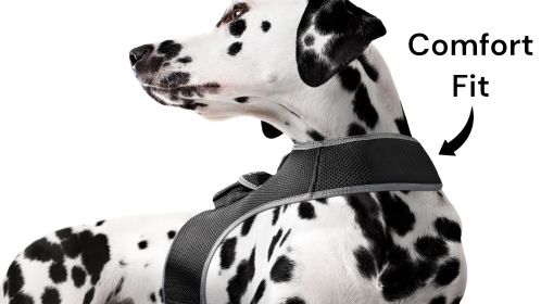 Waterproof Wireless Pet Tracker Rechargeable GSM GPS Collar for Dogs Size:XXL