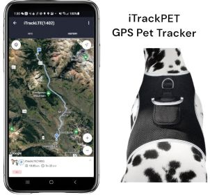 Wireless Realtime GPRS GSM GPS Tracking Collars for Dogs w/ Phone App Size:XXL