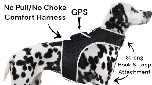 Wireless Pet Location Tracker Waterproof GPS Collars for Dogs Portable Size:XXL