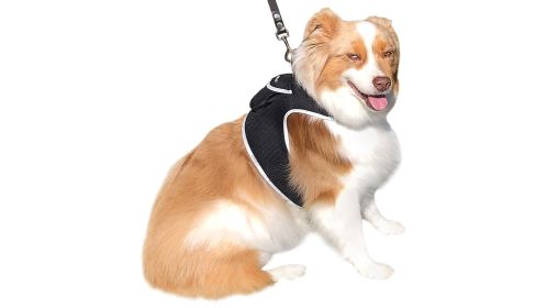 Small Wireless Tracking System Pet Tracker GPS Tracking Collars for Dogs Size:XXL
