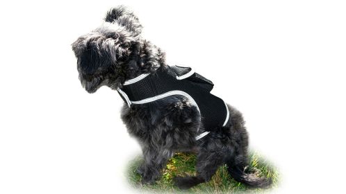 Track Pet Through Phone with Pet Tracker Collar GPS Tracking for Dog + App Size:XXL