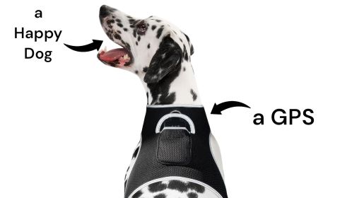 Waterproof Collar Mount Tracker w/ Realtime App GPS Tracking for Dogs Size:XXL