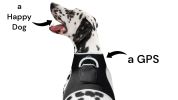 Rechargeable Collar Dog & Cat GPS Tracker Realtime Solution for Pet Surveillance Size:XXL