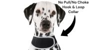 Waterproof Wireless Pet Tracker Rechargeable GSM GPS Collar for Dogs Size:XXL