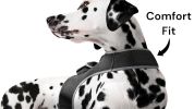 Rechargeable Waterproof Collar Mount GSM Tracking Device GPS for Dog Size:XXL