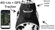 Waterproof Wireless Pet Tracker Rechargeable GSM GPS Collar for Dogs Size:XXL