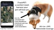 Rechargeable Collar Mount Tracker GPS for Dogs for Realtime Detail Surveillance Size:XXL