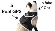 Wireless Pet Location Tracker Waterproof GPS Collars for Dogs Portable Size:XXL
