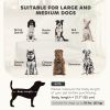 Elevated Dog Sofa Bed, Cat Couch with Cushion, Washable Cover, Wooden Legs, for Medium & Large Dogs, Light Grey