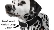 Mini GSM GPRS Pet Tracker Safe Collar Mount for Easy Dog Cat Tracking Size:L