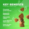 Grass Burn Spot Chews for Dogs Dog Urine Neutralizer for Lawn with Probiotics Enzymes Multivitamins