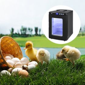 Black Reptile Incubator 25L Scientific Lab Incubator Digital Incubator Cooling And Heating 5-42°C Reptile Egg Incubator 12V/110V Work For Small Reptil (Option: Black)