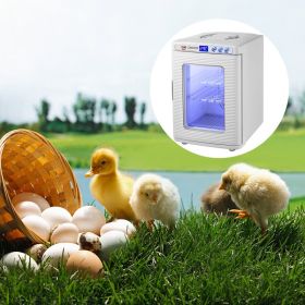 White Reptile Incubator 25L Scientific Lab Incubator Digital Incubator Cooling And Heating 5-42°C Reptile Egg Incubator 12V/110V Work For Small Reptil (Option: White)