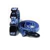 Trendy Printed PVC Dog Leash & Collar Set | Waterproof Heavy Duty Pet Lead