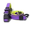 Waterproof TPU Dog Leash Set with Collar | Heavy Duty Honeycomb Texture Training Lead