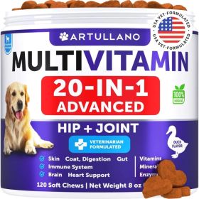 Dog Multivitamin Chewable With Glucosamine 20 In 1 Dog Vitamins And Supplements Senior & Puppy Multivitamin For Dogs Pet Joint Support Health Immunity (Option: Artullano)